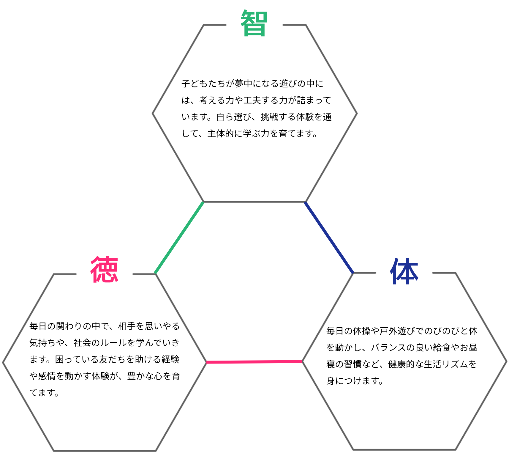 智：子どもたちが夢中になる遊びの中には、考える力や工夫する力が詰まっています。自ら選び、挑戦する体験を通して、主体的に学ぶ力を育てます。徳：毎日の関わりの中で、相手を思いやる気持ちや、社会のルールを学んでいきます。困っている友だちを助ける経験や感情を動かす体験が、豊かな心を育てます。体：毎日の体操や戸外遊びでのびのびと体を動かし、バランスの良い給食やお昼寝の習慣など、健康的な生活リズムを身につけます。