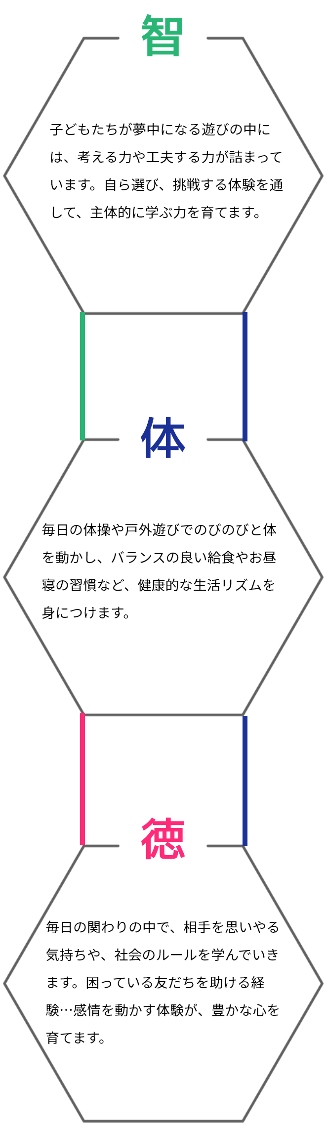 智：子どもたちが夢中になる遊びの中には、考える力や工夫する力が詰まっています。自ら選び、挑戦する体験を通して、主体的に学ぶ力を育てます。徳：毎日の関わりの中で、相手を思いやる気持ちや、社会のルールを学んでいきます。困っている友だちを助ける経験や感情を動かす体験が、豊かな心を育てます。体：毎日の体操や戸外遊びでのびのびと体を動かし、バランスの良い給食やお昼寝の習慣など、健康的な生活リズムを身につけます。